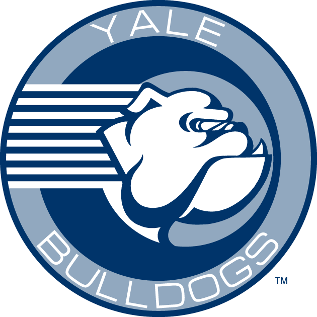 Yale Bulldogs 1998-Pres Alternate Logo DIY iron on transfer (heat transfer)